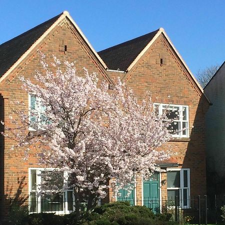3 Summertown Court Оксфорд Экстерьер фото