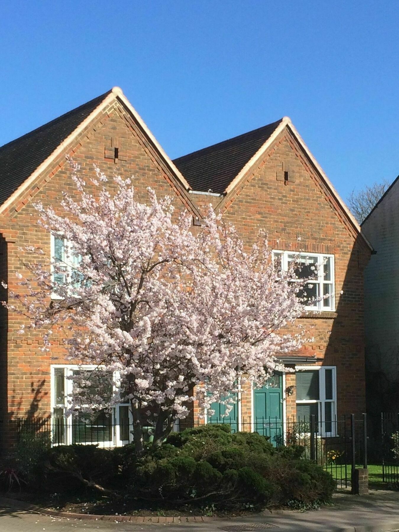 3 Summertown Court Оксфорд Экстерьер фото